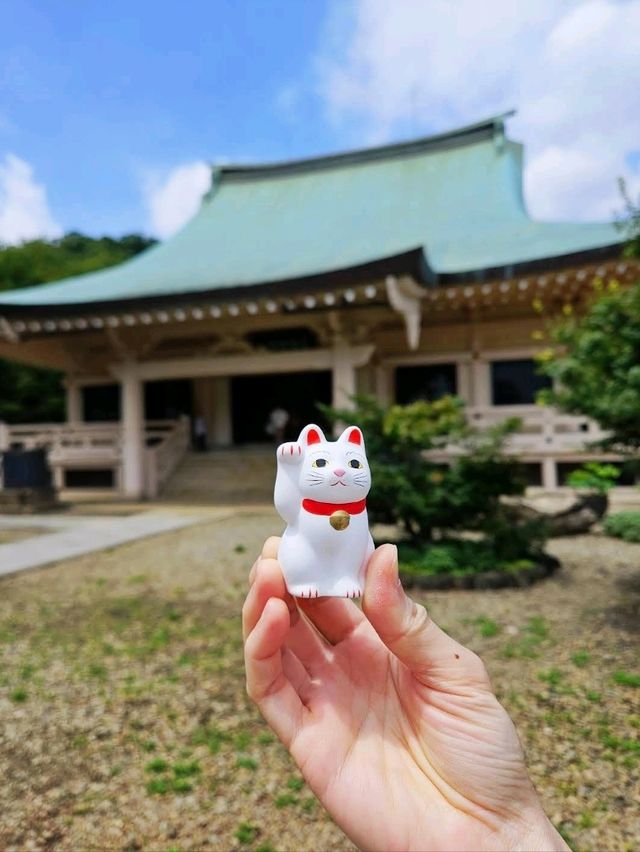 ⛩️豪德寺🐱藏有大量招財貓雕像的佛寺