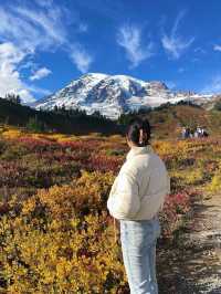 가을에는 마운트 레이니어 국립공원(Mount Rainier National Park)을 방문하세요