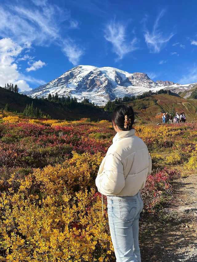 가을에는 마운트 레이니어 국립공원(Mount Rainier National Park)을 방문하세요