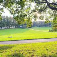 Have a look of this Beautiful autumn Park