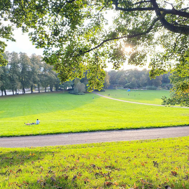 Have a look of this Beautiful autumn Park