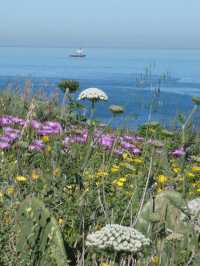 Hiking in Gibraltar: Exploring the Rock’s Scenic Trails