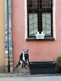 🇵🇱 波蘭托倫（Toruń）🔔