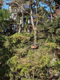 Enjoy the cliffs and the scenery of the four seasons
