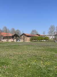 Spring in Venaria Reale