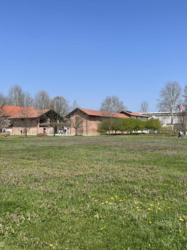 Spring in Venaria Reale