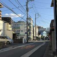 A Perfect Day in Fukuoka: Art, Gardens, Castle Views & Ramen Hits 