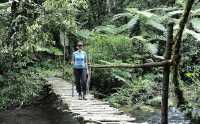 Eco Adventures in Africa: Wild, Sustainable, and Unforgettable