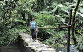 Eco Adventures in Africa: Wild, Sustainable, and Unforgettable