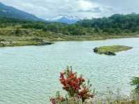 Boat Tour to Isla Martillo & Penguins