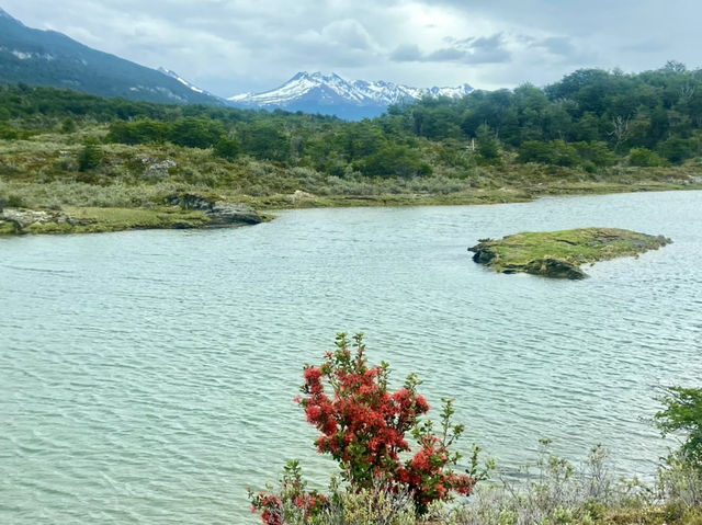 Boat Tour to Isla Martillo & Penguins