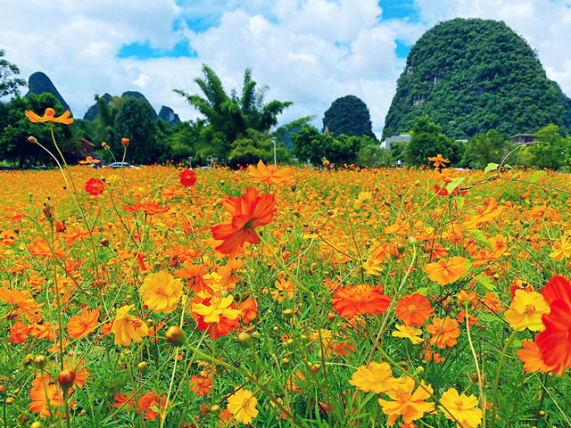 🌿 I Thought I’d Seen Beautiful – Then I Found Yangshuo 🇨🇳