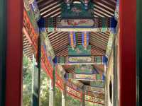 A Timeless Oasis: Where Nature and History Embrace