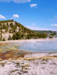 🏕️ Where to Stay in Yellowstone & Grand Teton National Parks 🛏️🌲