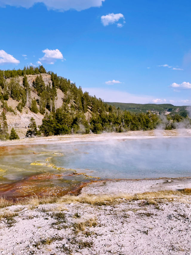 🏕️ Where to Stay in Yellowstone & Grand Teton National Parks 🛏️🌲