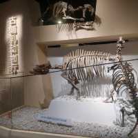 Dinosaurs, nice exhibitions in Natural History Museum of China 