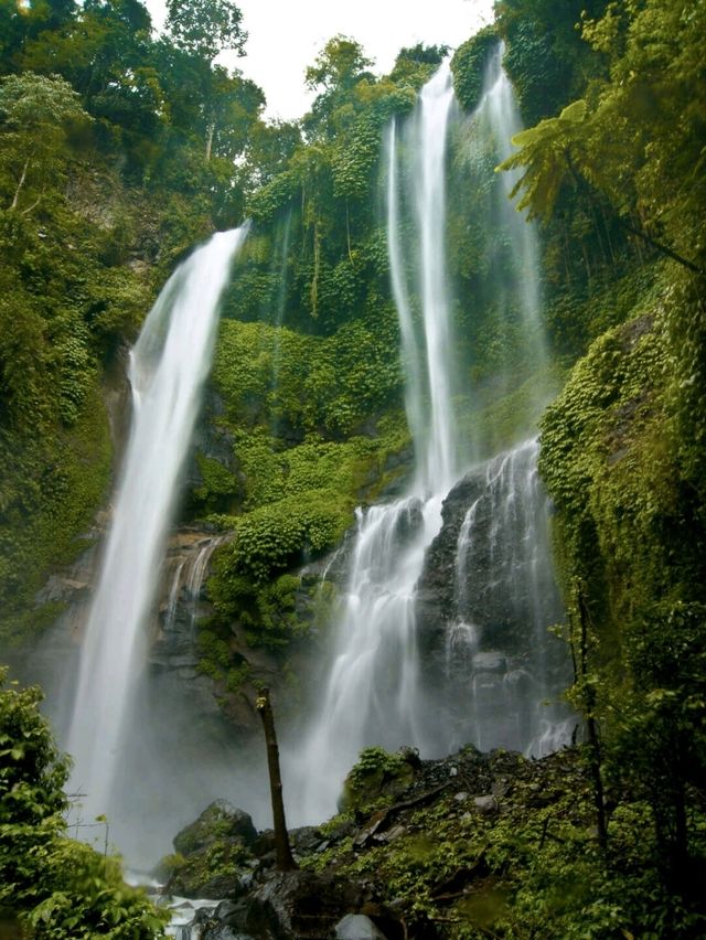 Sekumpul Waterfall, Bali: A must visit attraction!