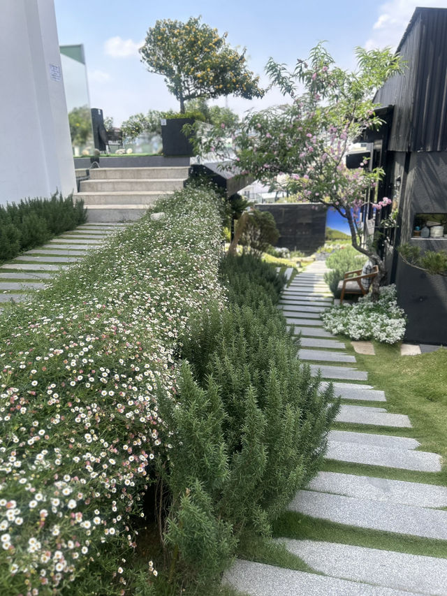 Love 🧡 and cosmic architecture of Dalat living 