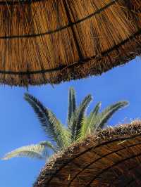 🌴☀️ TUI BLUE Palm Beach – Pure relaxation in paradise 🇹🇳✨