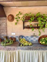 A Citrus Escape in Sóller, Mallorca 🍋🌿