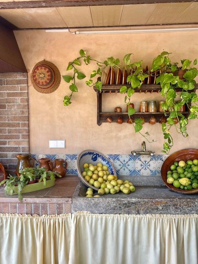 A Citrus Escape in Sóller, Mallorca 🍋🌿
