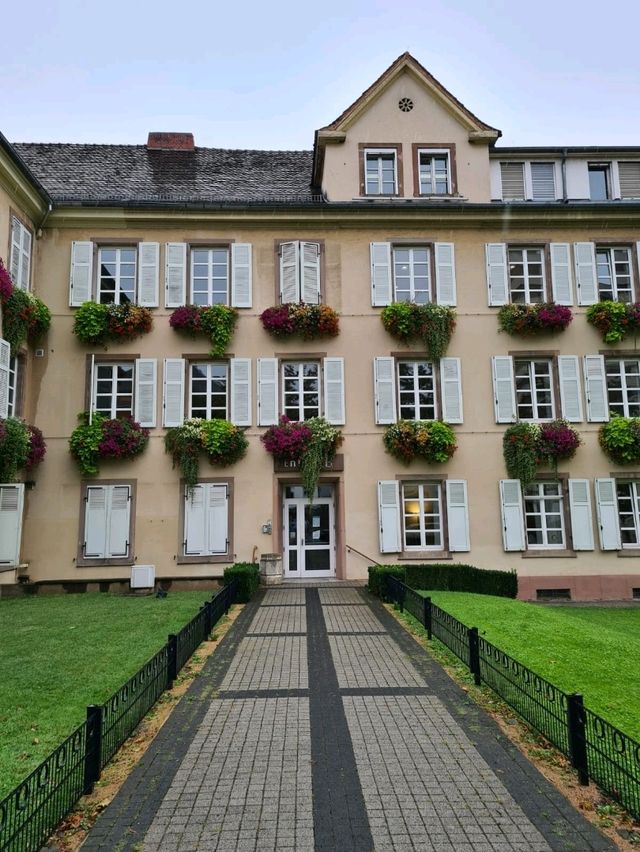 🏙️ Discover Mulhouse – France’s Industrial Gem with Artistic Soul