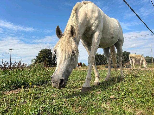 Summer holiday in Wingham, UK