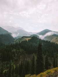 Have You Ever Seen Trees Growing From the Lake? Come to Kazakhstan!