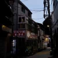 Tokyo to Kamakura: A Day Trip to Japan’s Coastal Charm