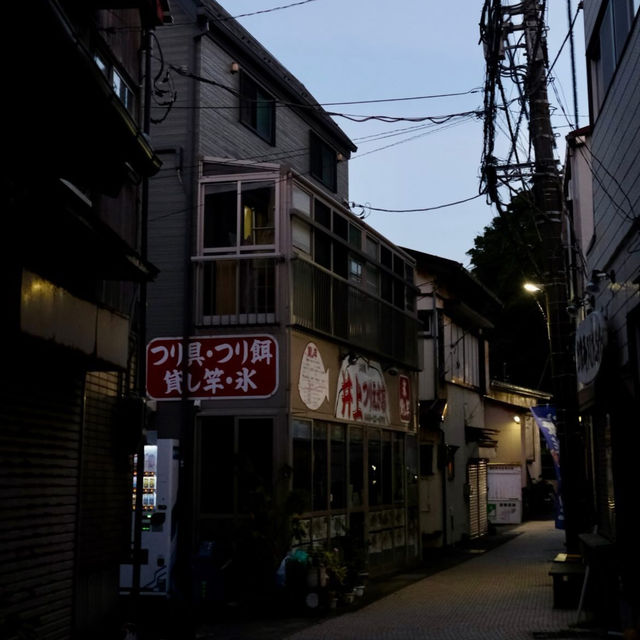 Tokyo to Kamakura: A Day Trip to Japan’s Coastal Charm