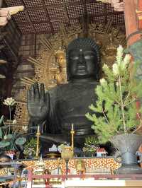 Step Into Ancient Majesty: A Nara Day at Todai-ji
