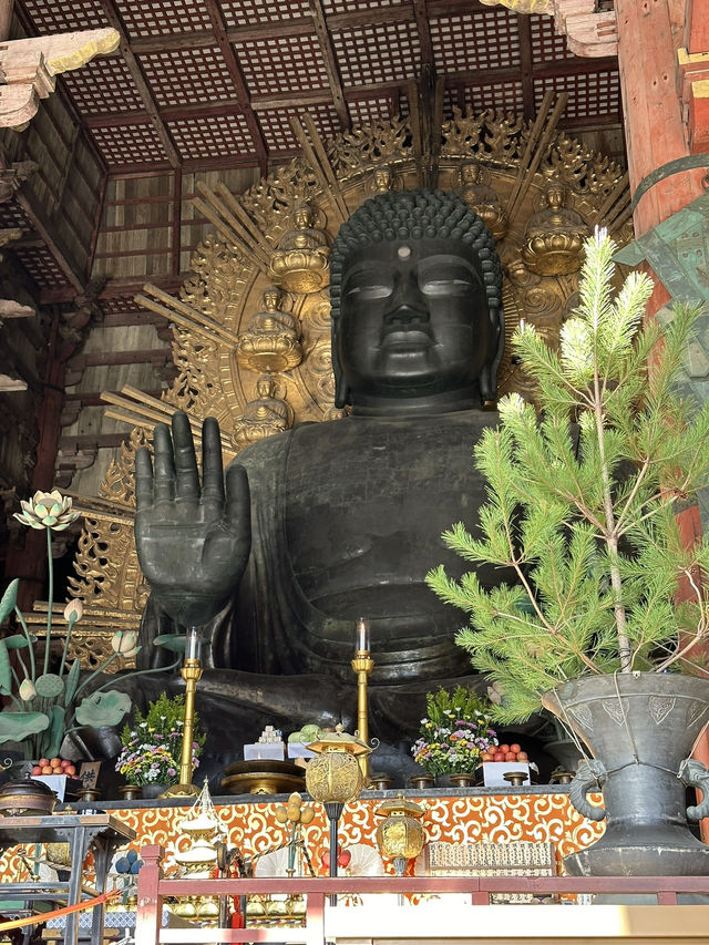 Step Into Ancient Majesty: A Nara Day at Todai-ji