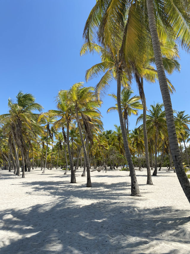 Sun-kissed Island Hopping in Morrocoy Venezuela