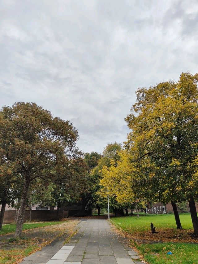 Queen’s Park in Autumn – A Symphony of Colour and Calm