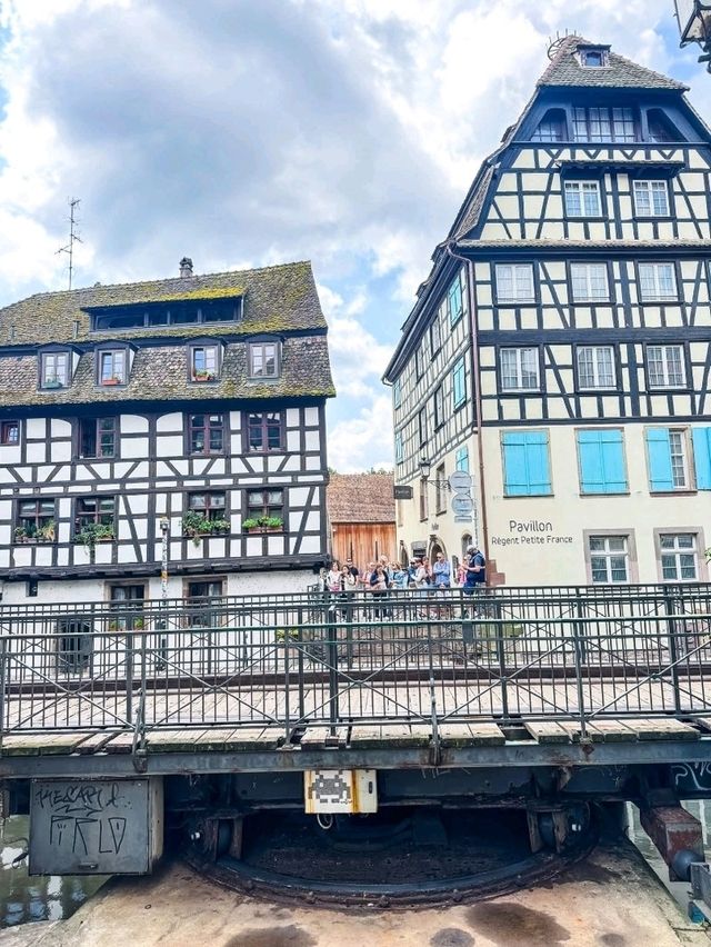 Enchanted Halloween Magic in Strasbourg! 🧙‍♀️✨
