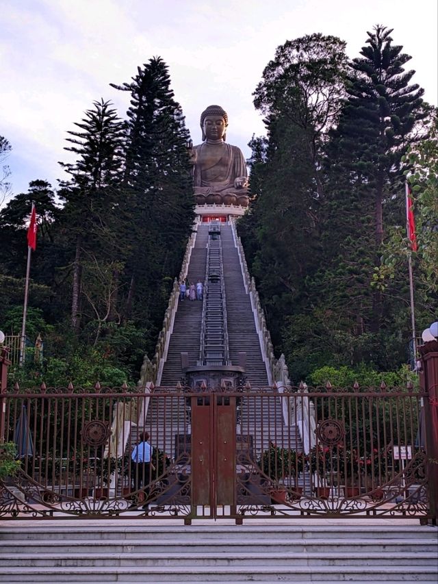 Nature and Buddha🌿