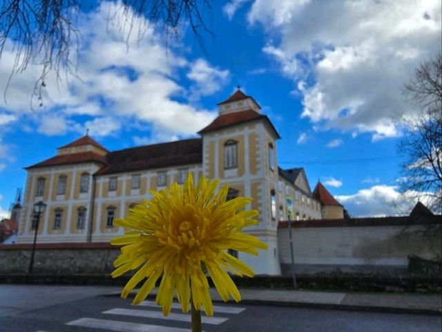 Architectural Charm🏛️ Architectural Charm🏛️