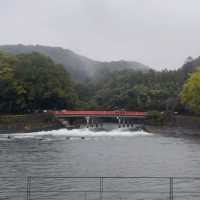 Nara: Deer, Temples & Timeless Japanese Charm 🇯🇵✨