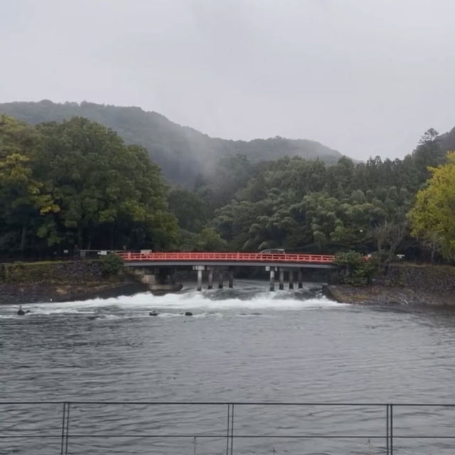 Nara: Deer, Temples & Timeless Japanese Charm 🇯🇵✨