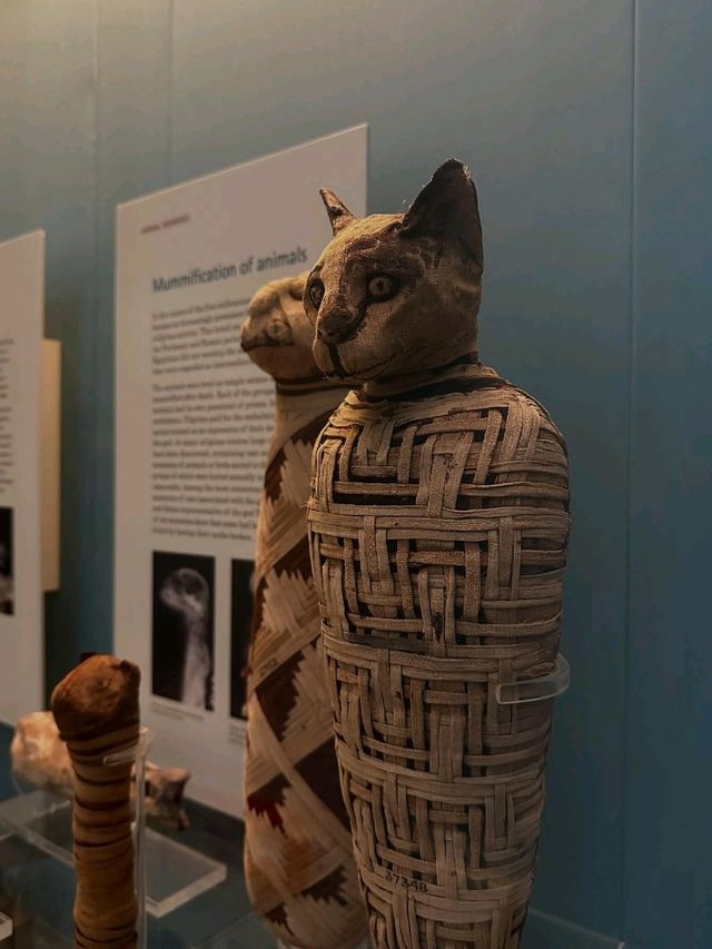 Ultimate 1-Day Guide to the British Museum: #winterescape 🏛️❄️