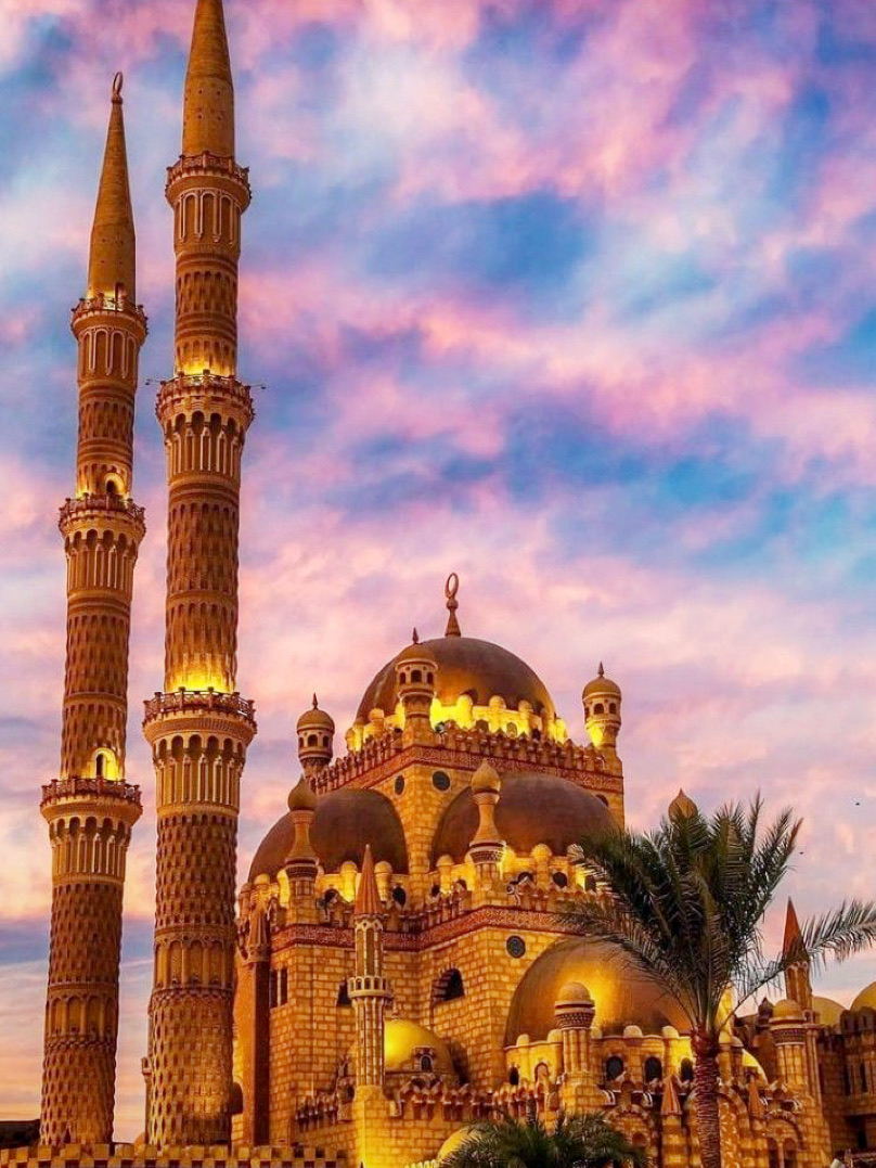 Suasana Mewah di Sharm El Sheikh: Berlayar dan Bersantai di Hotel Rixos 🇪🇬✨