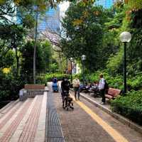 🏯🦢 Kowloon Park: A Hidden Oasis in the City 🌳🐒