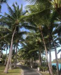 Honeymoon paradise - The St. Regis Bora Bora Resort