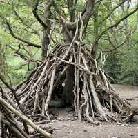Epping Forest - London