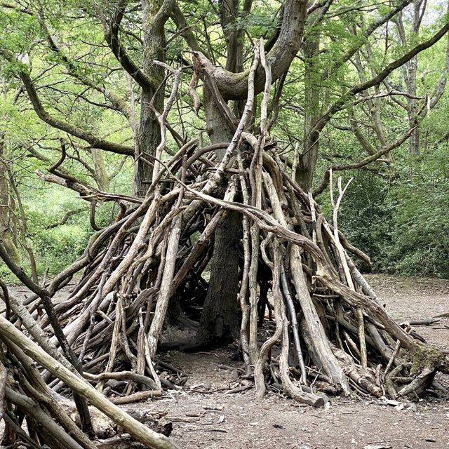 Epping Forest - London