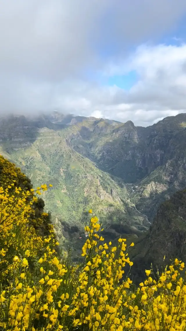 Challenge Yourself and Unleash the Wonders of Madeira's Levada do Lombo do Mouro Trail 🌄🗻