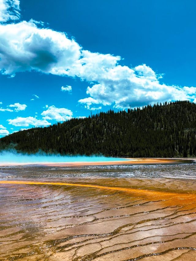 Take the time alone to digest the world, Norris Geyser Basin.