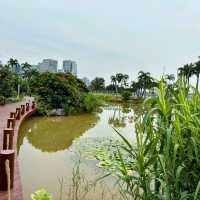 Bin Hai cultural park in the summer