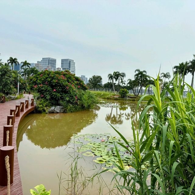 Bin Hai cultural park in the summer Bin Hai cultural park in the summer