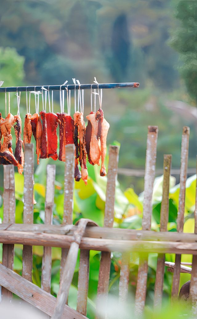 初冬的嶼北,在質樸之外,是斑斕的色彩 初冬的嶼北,在質樸之外,是斑斕的色彩